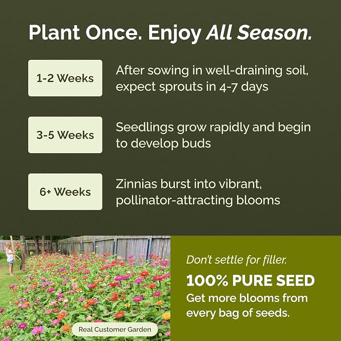 Eden Brothers California Giant Zinnia Seeds for 2026, 1 lb - 100% Pure, No Fillers (75+ Seeds) - Heirloom Non-GMO Zinnia Seed Mix, Large Blooms for Cut Flowers & Pollinator Gardens, Zones 3-10