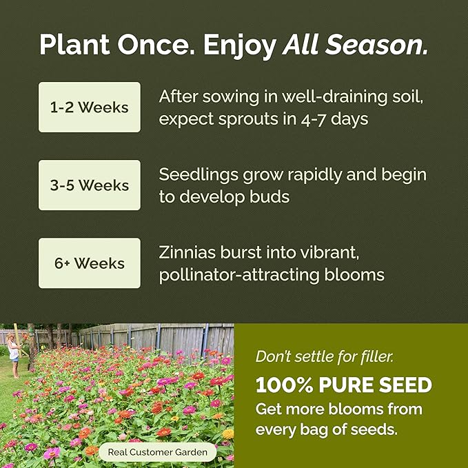 Eden Brothers California Giant Zinnia Seeds for 2026, 1 lb (72,000+ Seeds) - 100% Pure, No Fillers - Heirloom Non-GMO Zinnia Seed Mix, Large Blooms for Cut Flowers & Pollinator Gardens, Zones 3-10