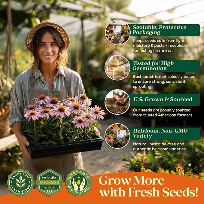 Seedphony Echinacea Seed Pack 4 oz - 37,500 Non-GMO Heirloom Echinacea Seeds for Planting, Perennial Flowers in Waterproof Seed Packet, Coneflower Seeds for Planting Garden Indoor & Outdoor Gardening