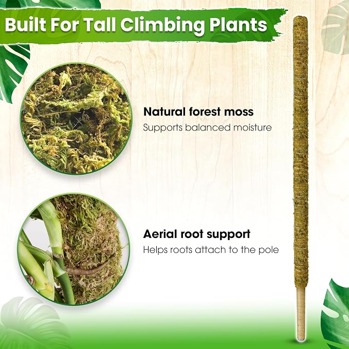 DUSPRO 59 Inches Natural Large Moss Pole for Big Plants, Monstera Plant Support, Plant Stakes for Indoor Plants, Plant Pole for Big Climbing Plants Indoor (1pc., 59'')