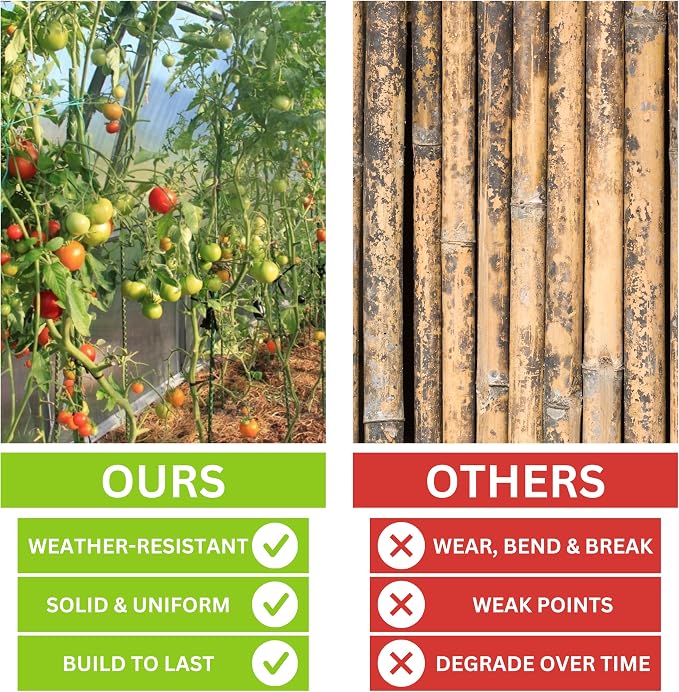 6 Ft Fiberglass Eco Friendly Garden Stakes 50 Pack (Height/Quantity Options) – Durable, Lightweight, Tomato, Tree, Strawberry, Plant, Support Fencing Stakes with Patterned Surface, Green (50, 6 Ft)