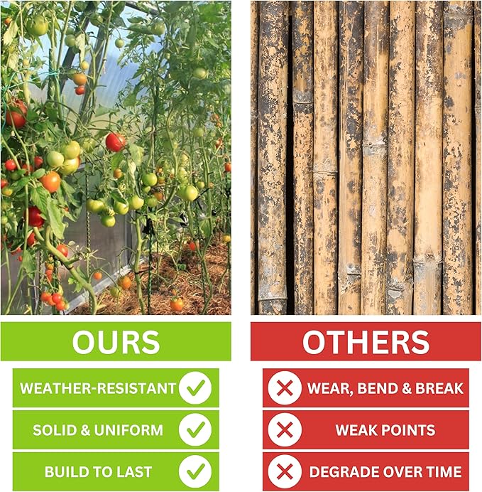 5 Ft Fiberglass Eco Friendly Garden Stakes 50 Pack (Height/Quantity Options) – Durable, Lightweight, Tomato, Tree, Strawberry, Plant, Support Fencing Stakes with Patterned Surface, Green (50, 5 Ft)