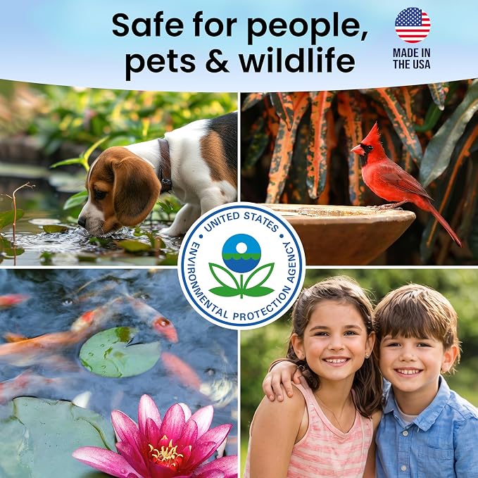MICROBE-LIFT BMC Biological Mosquito Control, Liquid Treatment for Medium-Sized Decorative Water Gardens Up to 2,000 Gallons, Fountains and Ponds, 1 Gallon