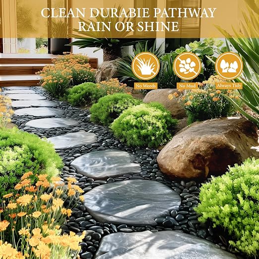 4lb Black River Rocks for Plants, 1-3 Inch Pebbles for Indoor Plants, Polished Garden Rocks Outdoor Landscaping, Decorative Stones for Vases, Succulents, Aquarium, Walkways