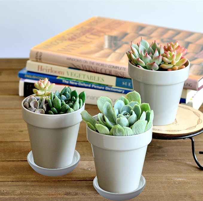 Ceramic Plant Saucer Tray 2 Pcs 3 4 Inch White, 4.2" OD x3.5 ID x0.7 Deep Round Sturdy Heavy Duty Glazed Bevel Planter Drip Flower pots with Catch Basin for Indoor Outdoor Plants(3" White)