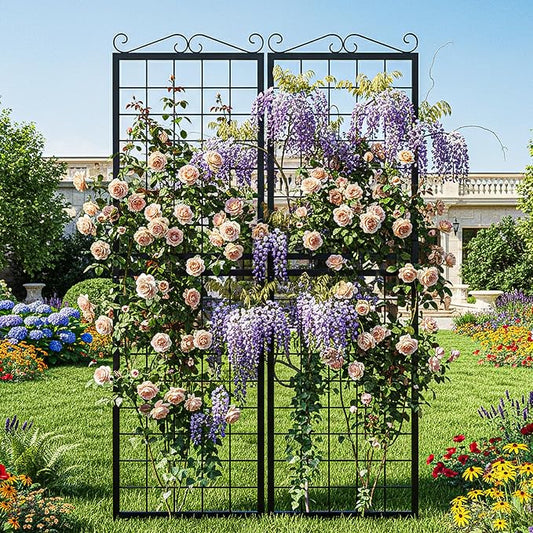 SUNYRISY 2Pack Metal Garden Trellis for Climbing Plants Outdoor, 71x20in Metal Plant Support for Flowers Tomato Cucumber Rose Vegetable Garden Courtyards Lawns Decoration, Black