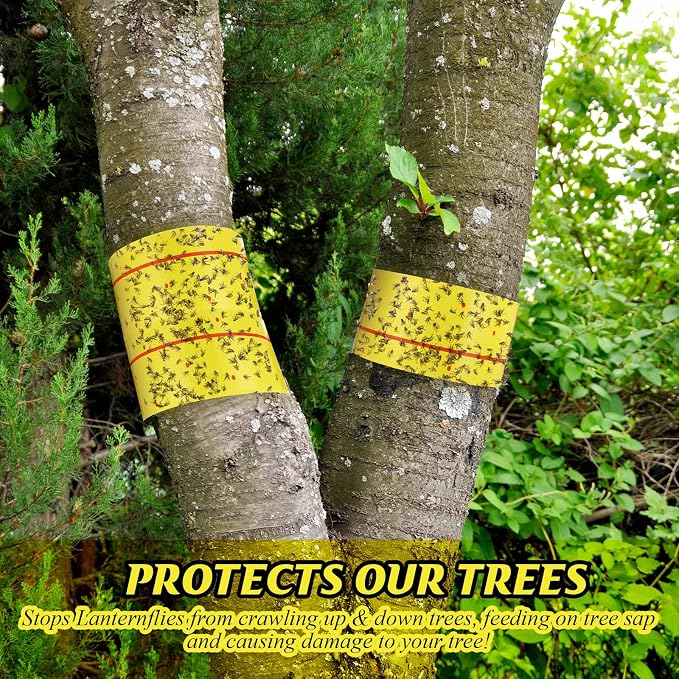 12 Rolls Spotted Lantern Fly Tree Trap 30 Feet Each Roll Lanternfly Tree Outdoor Fruit Fly Sticky Strips Paper Insect Sticky Barrier Trunk Wraps to Protect Plant, Lawn, Garden(Yellow and Red)