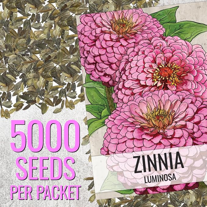 Seed Needs Zinnia Seeds Luminosa Pink Fast Blooming 5,000 Seeds Bulk Pack