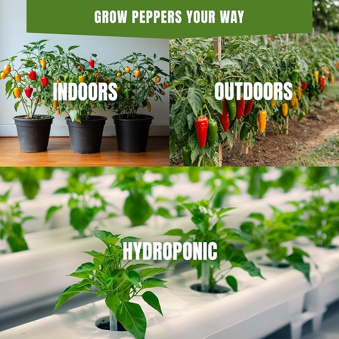 Hot & Sweet Pepper Seeds Variety Pack – 15 Varieties Mixed Heat Garden Collection, Jalapeno, Habanero, Cayenne, Serrano & Bell Types, 750+ Non-GMO Heirloom Seeds for Indoor & Outdoor Planting