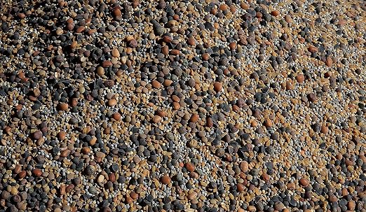 No-Till Cover Crop 13-Seed Mix (½-lb): [50% Clovers Plus Fenugreek, Vetch, Flax, Cowpeas, Buckwheat, Forage Peas, Millet, Lentils, Crimson Clover, Sweet Yellow Clover, White Clover, Medium Red Clover]