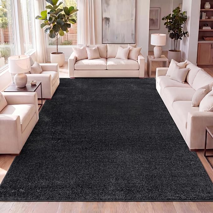 JONATHAN Y Haze Solid Low-Pile Black Indoor Area Rug 4x6, Coastal,Bohemian,Minimalist,Classic, Easy-Cleaning for Living Room,Bedroom,Kitchen,Pet Friendly,Non-Shedding (SEU100I-4)