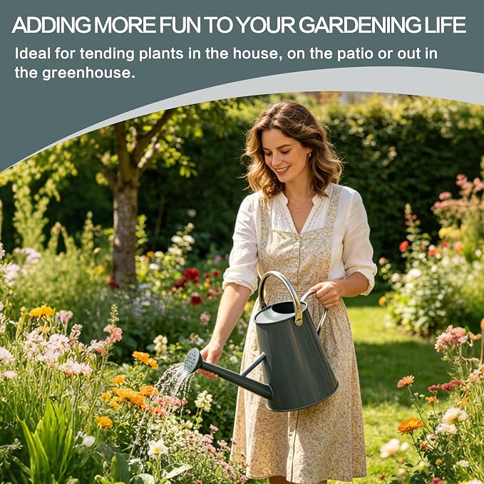 Metal Watering Can with Stainless Steel Handle for Outdoor and Indoor Plants, Watering Can Decor, 1.5 Gallon (Gray)