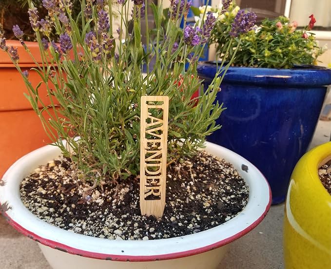Bamboo Herb Markers - Set of 12 Beautiful Garden Labels - Sturdy Outdoor Garden or Potted Herb Markers