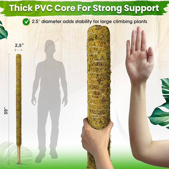 DUSPRO 59 Inches Natural Large Moss Pole for Big Plants, Monstera Plant Support, Plant Stakes for Indoor Plants, Plant Pole for Big Climbing Plants Indoor (1pc., 59'')