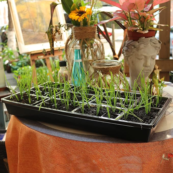 Gardzen 10 Pack Seed Trays, Reusable Plant Grow Trays, Ideal for Seed Starting, Microgreens, Indoor Gardening, and Greenhouse Nurseries - No Drain Holes, 20"x10"