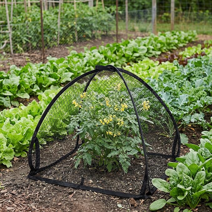 DECOHS 2 Pcs Pop-Up Mesh Plant Cover Tent, 22 x 22 x 22 Inch Garden Net Cage Guard Cover, Plant Protector Enclosure with 12 Ground Stakes for Protecting Plants Vegetable Fruit from Birds Insects