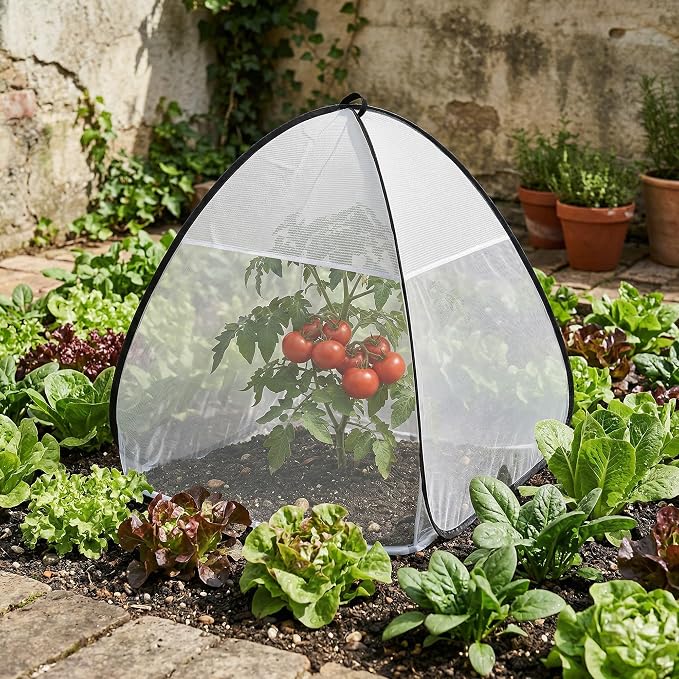2 Pcs Pop Up Garden Netting Bug and Shade Covers, 30" x 28" x 28" Plant Sun Shade Top Bird Netting Tents, Insect Barrier Sun Protection Plant Cover Tent for Outdoor Plants Vegetables Fruits (White)