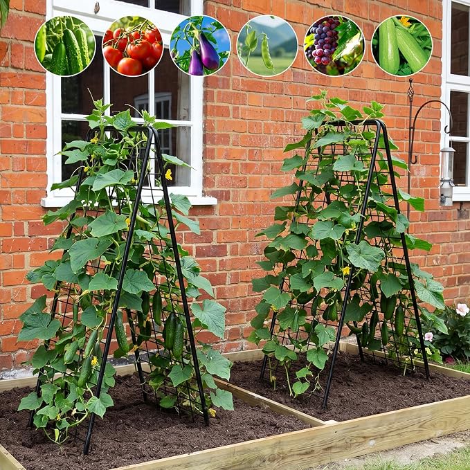 LIANTRAL A-Frame Trellis for Climbing Plants Outdoor, 2 Pack Metal Garden Trellis, Heavy Duty Cucumber Climbing Trellis with Dense Grid for Tomatoes Flowers Vegetables