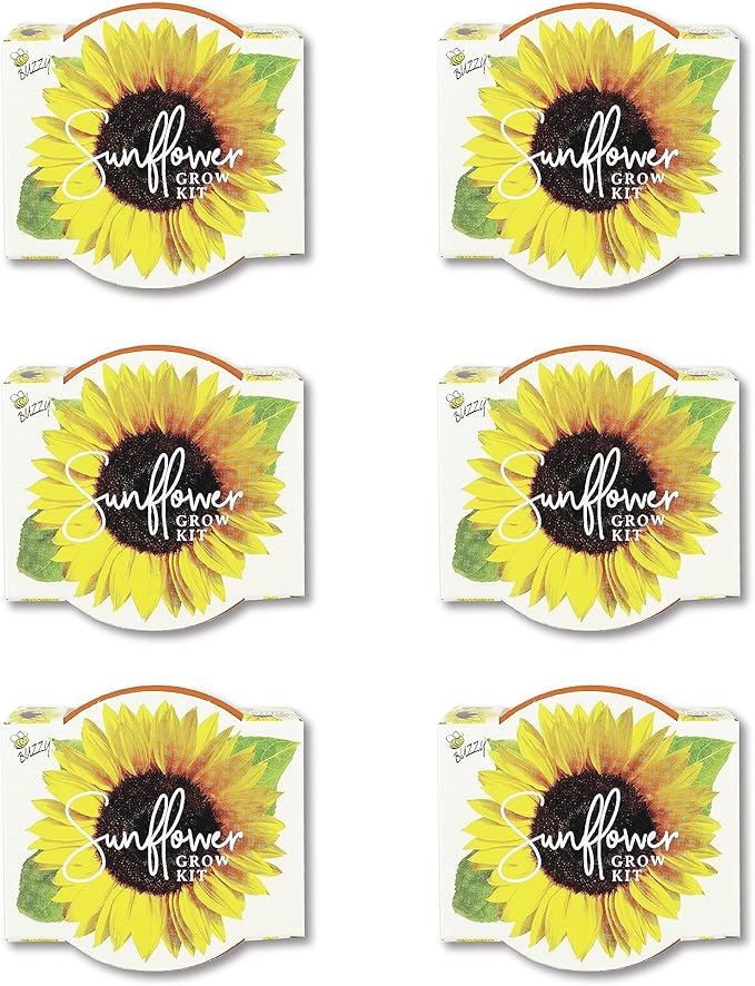 BUZZY Seeds Sunflower Daydream Collection Grow Kit 6-Pack - Mini Terracotta Pot Grow Set - 100% Grow Guarantee