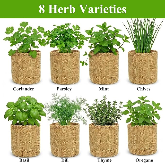 Indoor Herb Garden Kit, Culinary Herb Starter Kit with Seeds & Tools for Beginners, Kitchen Decor, House Warming Gifts for New Home, for Christmas, Ultimate Birthday Gifts for Women Men Mom Dad
