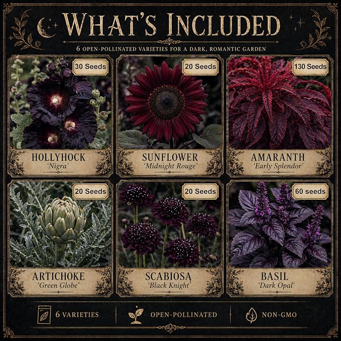 Ravens Hollow Garden Gothic Garden Seed Collection, 6 Open-Pollinated Flower & Foliage Varieties
