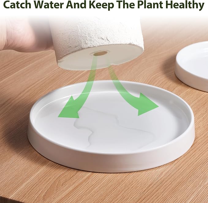 saffruff White Ceramic Plant Saucer 12 Inch, Plant Pot Tray Plate for Flower Pots, Round Ceramic Saucer Tray to Catch Water Drip & Drainage, Indoor Outdoor Planter Base