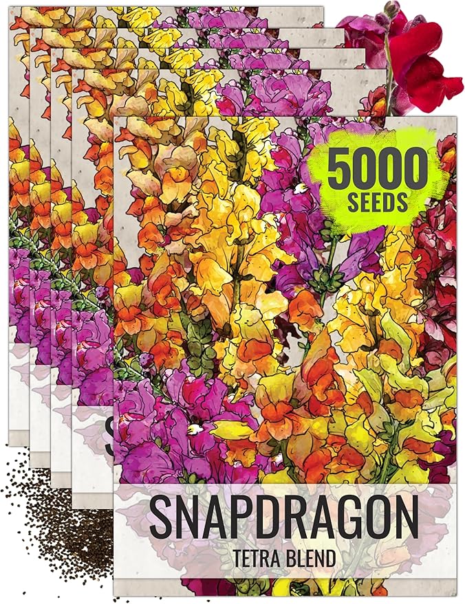 Seed Needs Tetra Snapdragon Seeds to Plant Mixed Cut Flowers 5 Packs