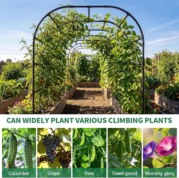 SUNYRISY Garden Arch Trellis for Climbing Plants Outdoor, 88" x 88" x 88" Metal Core Tall Archway Tunnel Plant Support for Cucumber Tomato Vine Flowers Vegetables Climbing Plants