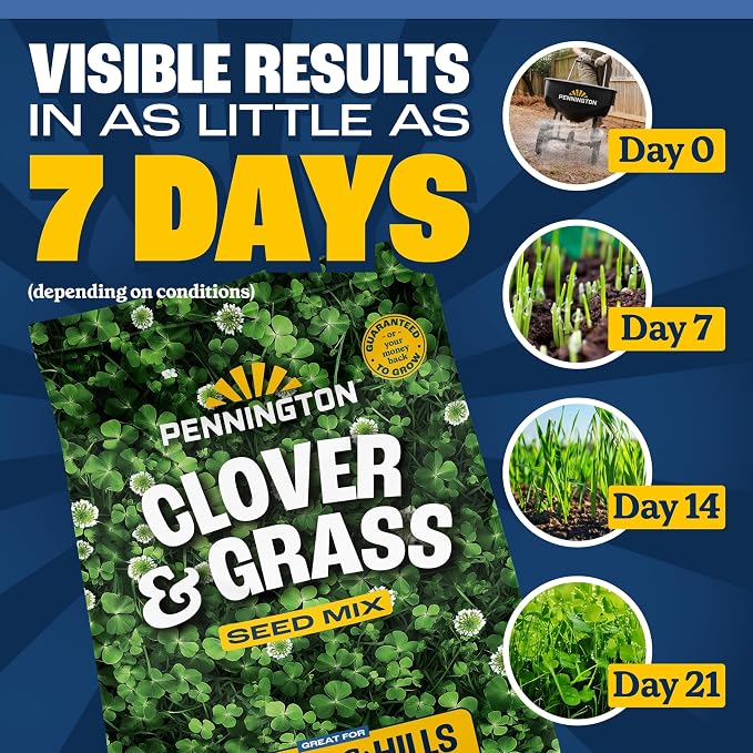 Pennington Clover + Grass Mix, Clover Seeds for Lawn, 7 LB