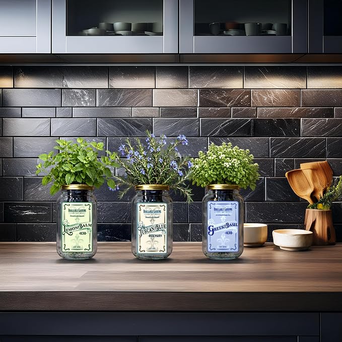 Chef’s Herb Garden Mason Jar Grow Kit (3 Pack) – Tuscan Blue Rosemary, Greek Basil & Lemon Balm – Indoor Hydroponic Herb Growing Kit – Windowsill Kitchen Herb Garden