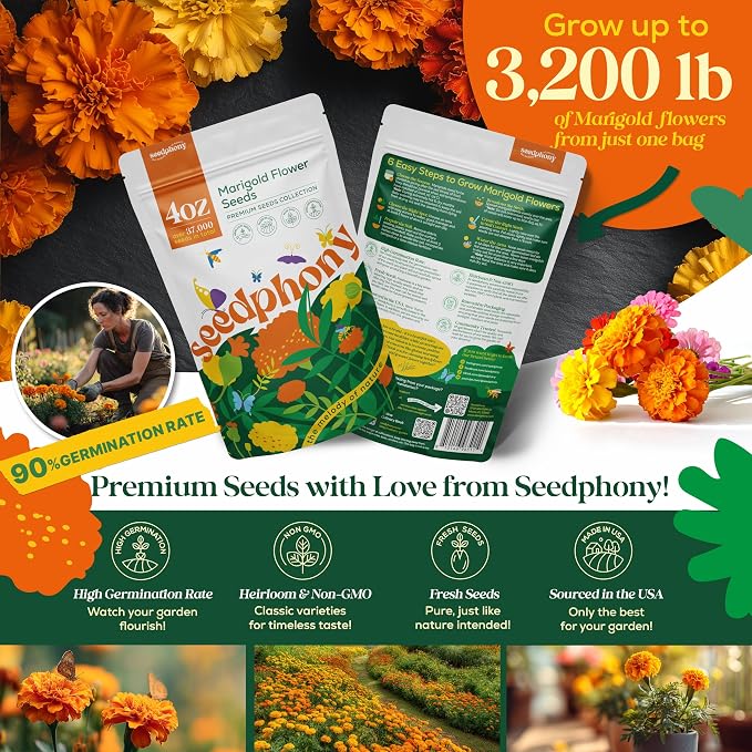Seedphony Marigold Seeds Pack 4 oz - 37,000 Non-GMO Heirloom Marigold Seeds for Planting, Perennial Flowers in Waterproof Seed Packet, Wildflower Seeds for Planting Garden Indoor & Outdoor Gardening