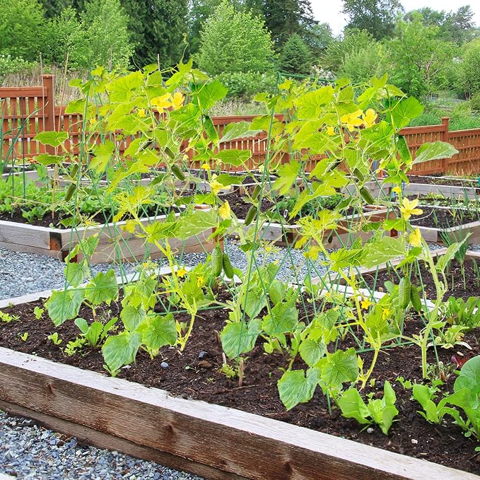 Cucumber Trellis 2 Pack, Foldable A-Frame Garden Trellis for Raised Bed Garden Grow Support with Plant Support Clips, Twist Ties, Plastic Ties, for Cucumber,Tomato, Climbing Plants and Flowers