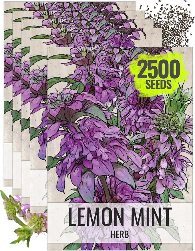 Seed Needs Lemon Mint Seeds to Plant Annual Heirloom Non-GMO Herbs 5 Packs