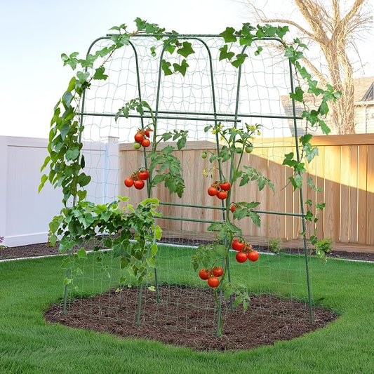 HIRALIY Cucumber Trellis for Climbing Plants Outdoor, 5.25ft Tall Heavy Duty Metal Garden Arch Trellis, Rustproof Plant Support Tunnel for Tomato, Grape, Bean, Raised Bed and Vegetable Gardens, Green