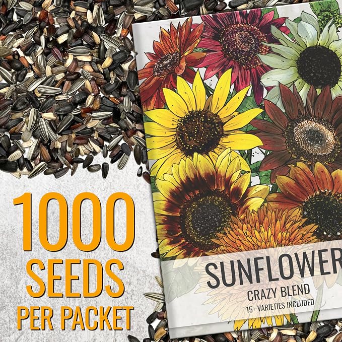 Seed Needs Sunflower Seeds to Plant Original Crazy Blend 1 Ounce Bulk Pack