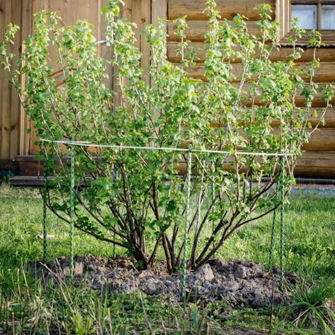 3 Ft Fiberglass Eco Friendly Garden Stakes 20 Pack (Height/Quantity Options) – Durable, Lightweight, Tomato, Tree, Strawberry, Plant, Support Fencing Stakes with Patterned Surface, Green (20, 3 Ft)