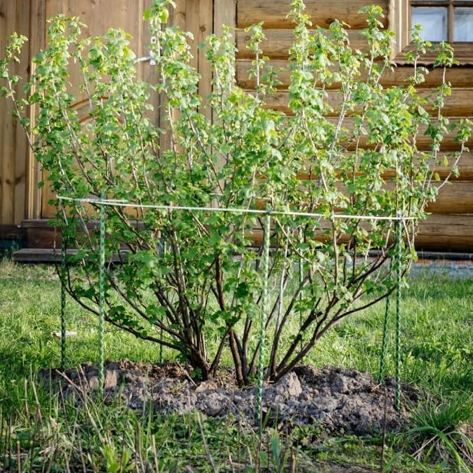 6 Ft Fiberglass Eco Friendly Garden Stakes 100 Pack (Height/Quantity Options) – Durable, Lightweight, Tomato, Tree, Strawberry, Plant, Support Fencing Stakes with Patterned Surface, Green (100, 6 Ft)