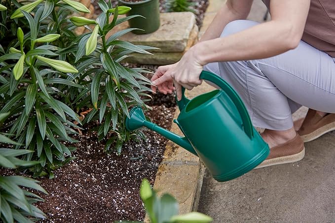 Consolidated Plastics Durable Swiss Watering Can with UV Protection, Ergonomic Handle for Indoor/Outdoor Gardening, Made in Switzerland (4 Liter, Green)