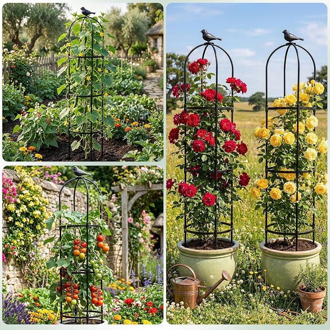 2 Pack Garden Obelisk Trellis for Climbing Plants, 6FT Plant Cages and Supports, Tomato Cage Tall Plant Stakes Indoor & Outdoor, Trellis for Potted Plants, Vegetables, Fruits, Flowers, Pots, Vines
