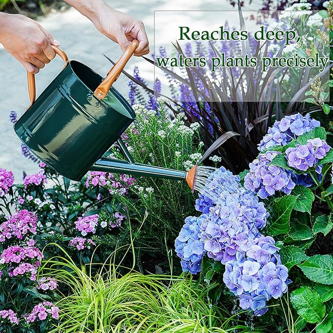 Metal Watering Can for Plants,Watering Cans for Outdoor&Indoor Gardening, Galvanized Steel Water Can with Removable Spout,Watering Pot with Ergonomic Movable Handle(Green)