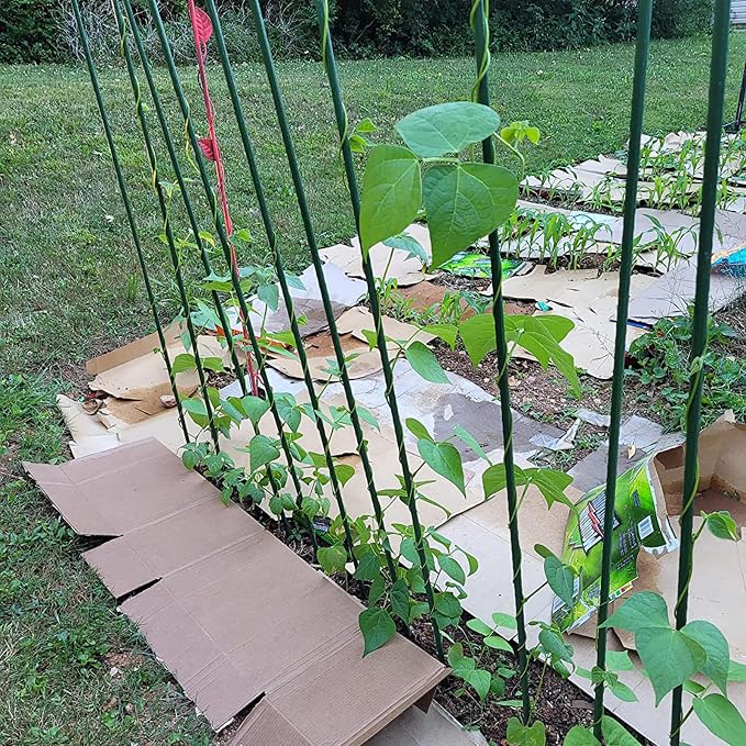 Garden Plant Stakes 57 Inch (Approx 5Ft) Tomato Stakes, 20 Pack Steel Plant Stick Support for Growing Climbing Plants, Garden Fences Poles