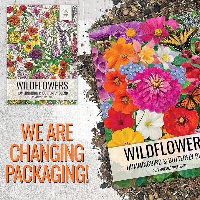 Seed Needs Wildflower Seeds Butterfly and Hummingbird Mix 2 Ounce Bulk Pack