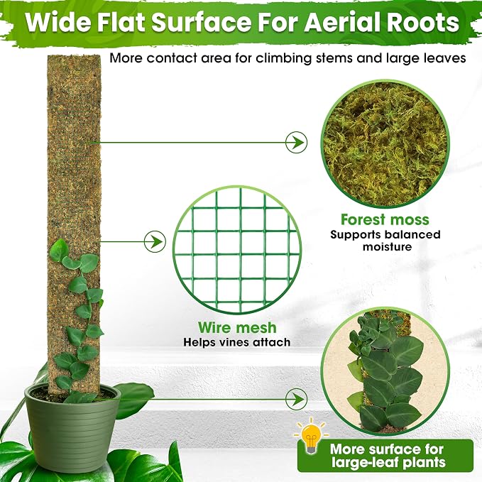 59" Flat Mesh Moss Pole for Big Climbing Plants, (1pc., 59'') | Wide Flat Real Moss Surface, Monstera Moss Pole for Indoor Plants, Plant Stakes for Mature Indoor Plants