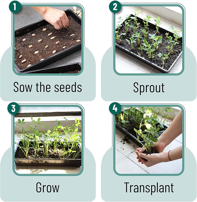 Mr. Pen- Seed Starter Trays, 5 Pack, 17"x10"x2.4" | Durable Plastic Growing Trays, Stackable and Reusable Seedling Starter Kits for Indoor, Outdoor, Greenhouse Gardening