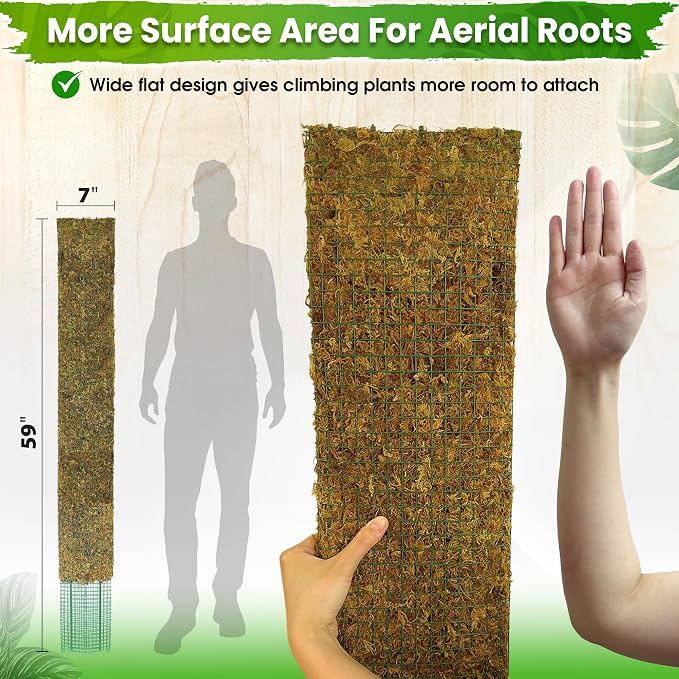 59" Flat Mesh Moss Pole for Big Climbing Plants, (1pc., 59'') | Wide Flat Real Moss Surface, Monstera Moss Pole for Indoor Plants, Plant Stakes for Mature Indoor Plants