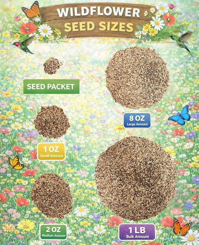 Hummingbird Wildflower Seed Mix (2oz) Bright, Nectar-Rich Blooms that Attract Hummingbirds & Pollinators