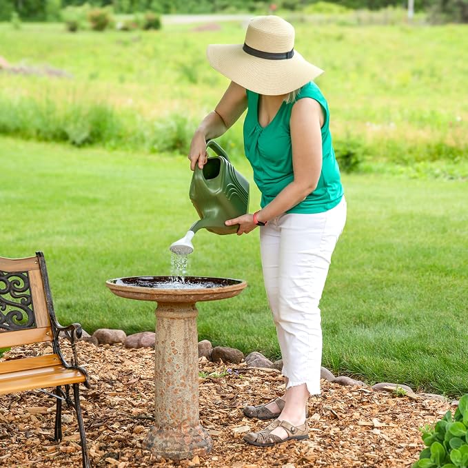 Sunnydaze Toulon Outdoor Ceramic Bird Bath - 24.5" H - UV- and Frost-Resistant - Glazed Bowl - Brown Lava Finish