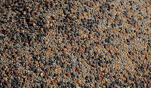 No-Till Cover Crop 13-Seed Mix: 50% Clovers Plus Fenugreek, Vetch, Flax, Cowpeas, Buckwheat, Forage Peas, Millet, Lentils (5-lb. Bag (Five Pound)