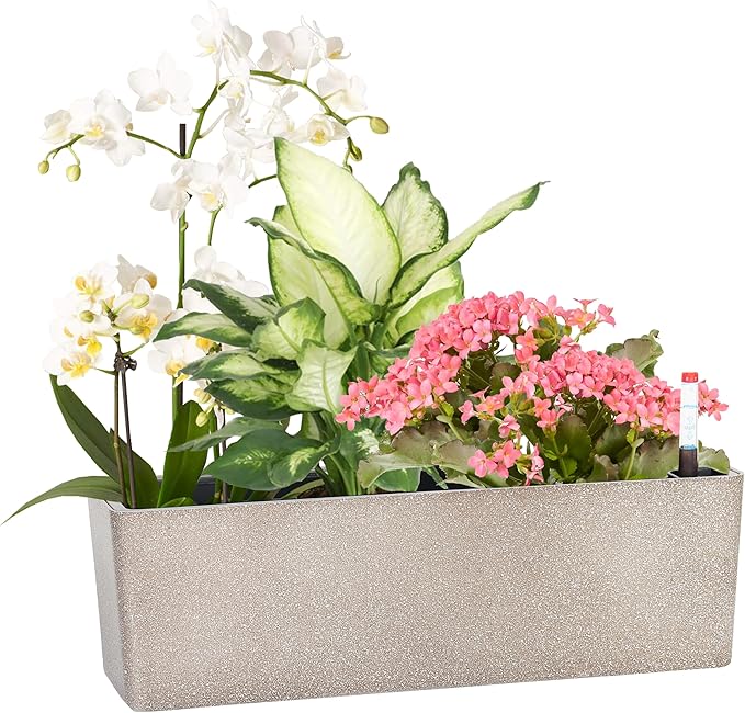 Elongated Self Watering Planter Pots Window Box 5.5 x 16 inch Indoor Home Garden Modern Decorative Planter Pot for All House Plants Flowers Herbs (Coffee,1-Pack)