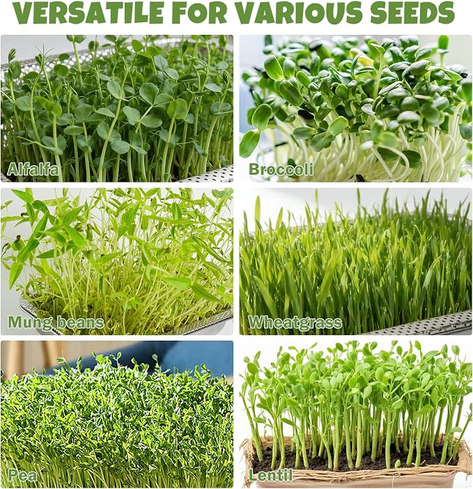 2 Pack Stainless Steel Seed Sprouter Trays, 2-Tier Soil-Free Microgreens Growing Kit, Rust-Free Sprouting Tray with Mesh Pads for Sprouts Beans Alfalfa Wheatgrass (12.6"*8.7"*2.8")